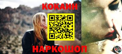 стафф Лесосибирск