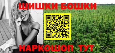 стафф Лесосибирск
